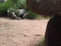 Man Kerrioned dolmen